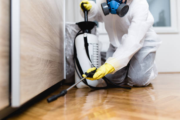 Best Cockroach Control Services  in Bunker Hill, OR