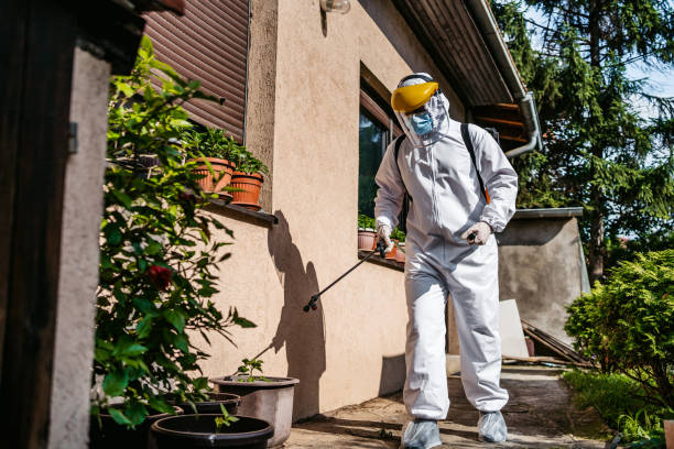 Spider Control Near Me in Bunker Hill, OR
