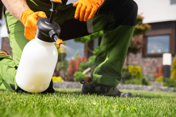 Best Pest Control Near Me  in Bunker Hill, OR