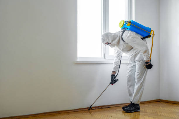 Best Affordable Pest Control Services  in Bunker Hill, OR