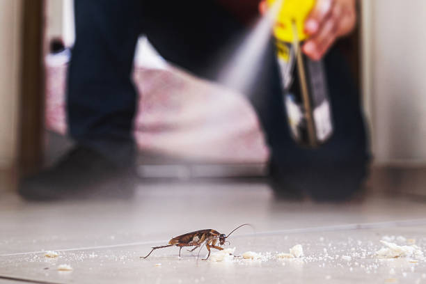  Bunker Hill, OR Pest Control Pros
