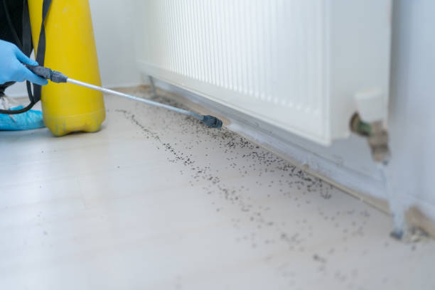 Best Residential Pest Control  in Bunker Hill, OR